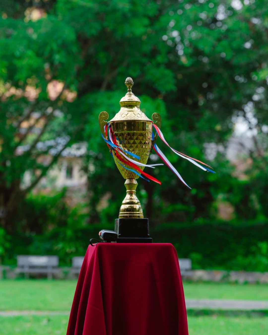 A golden trophy cup displayed outdoors on a red velvet tablecloth, symbolizing achievement.