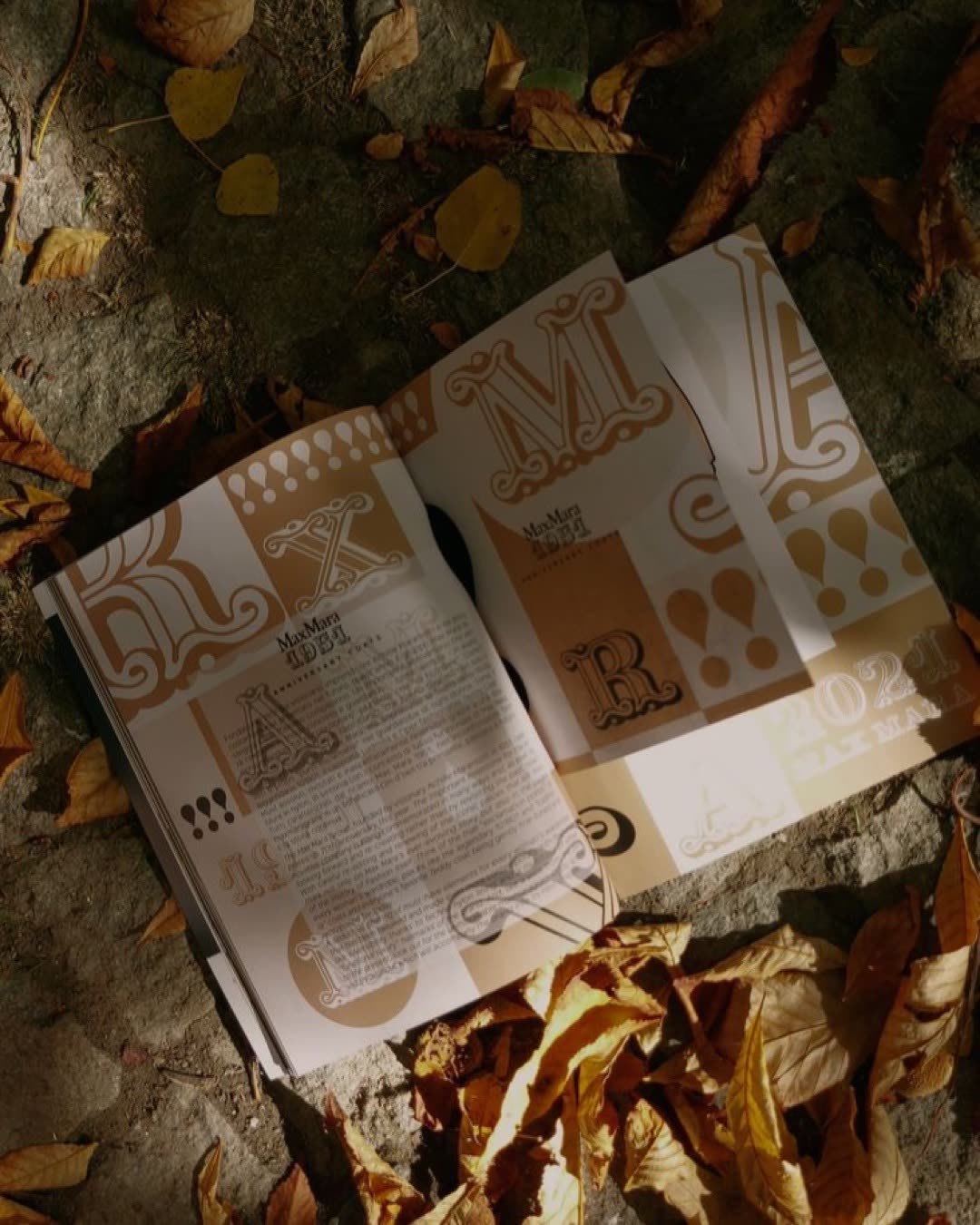 An open book on the ground with fallen leaves, capturing the essence of autumn.