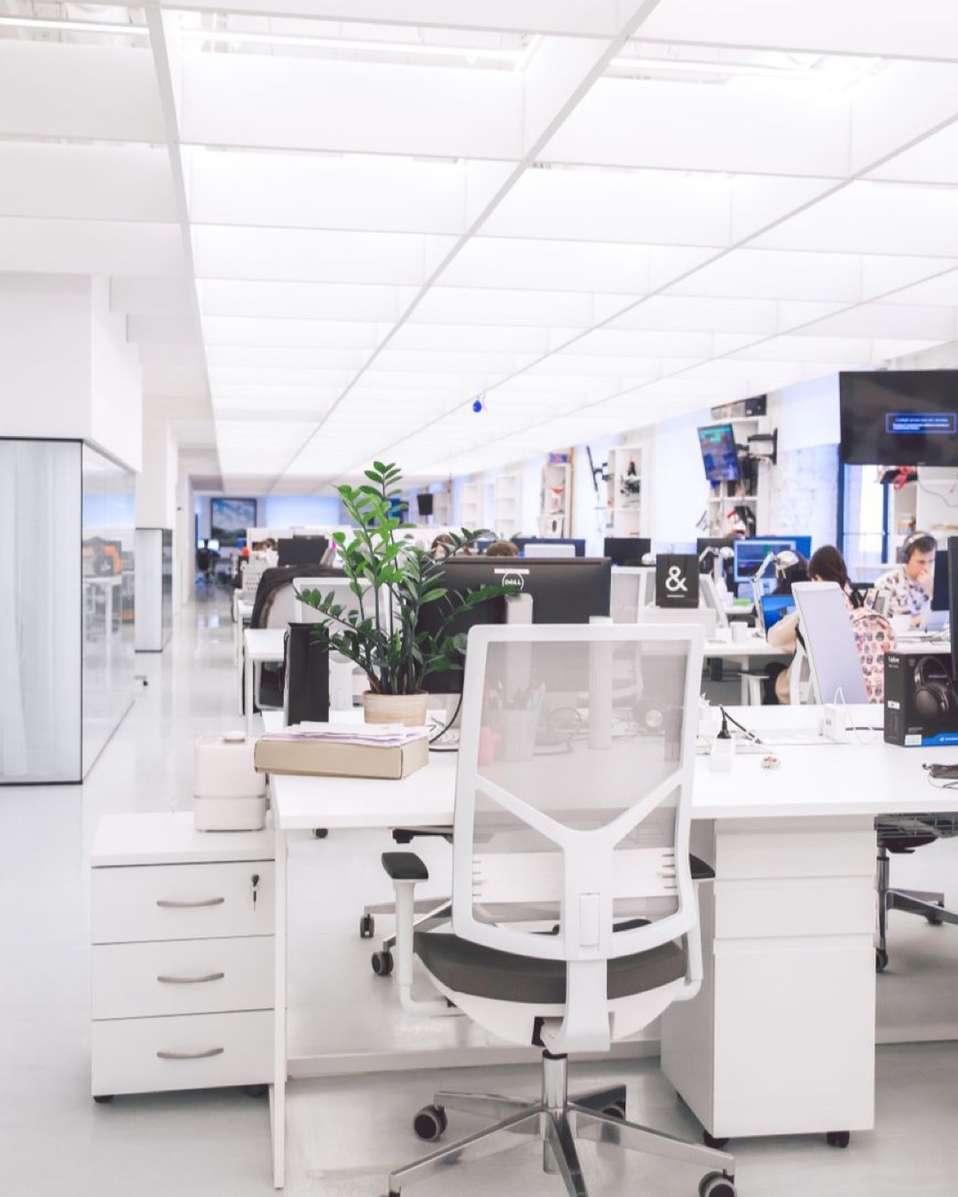 Bright modern office interior with desks, chairs, and computers in an open-plan workspace.