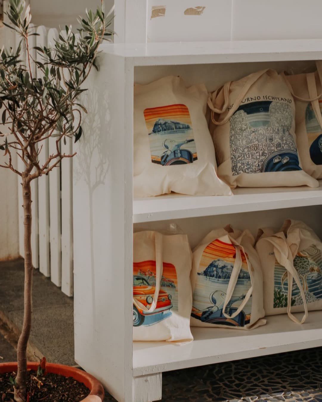 Canvas bags with artistic prints neatly organized on shelves, next to an indoor plant.