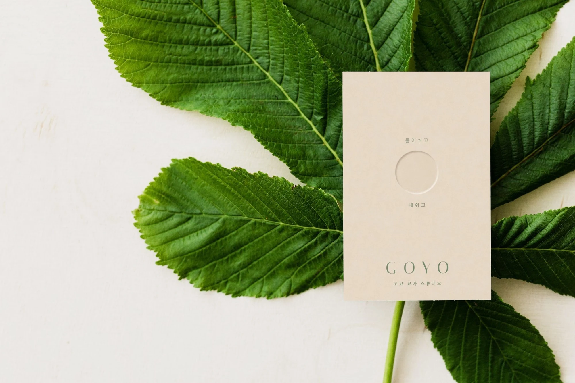 GOYO · 고요 요가 — 브랜딩 · 디자인 프로젝트 · 킬슨 스튜디오
