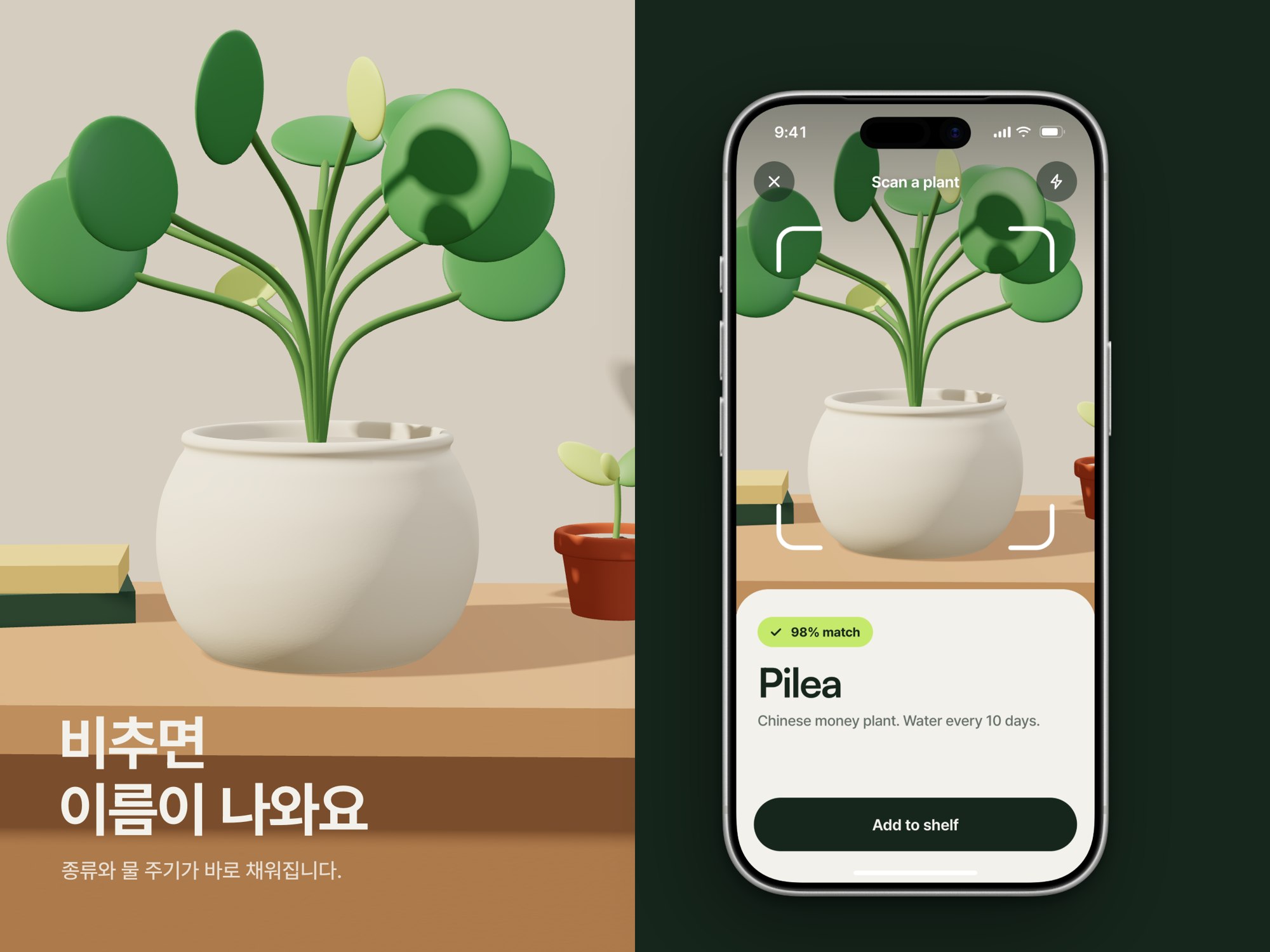 Sprout · 식물 관리 앱 — 웹·앱 · 개발 프로젝트 · 킬슨 스튜디오