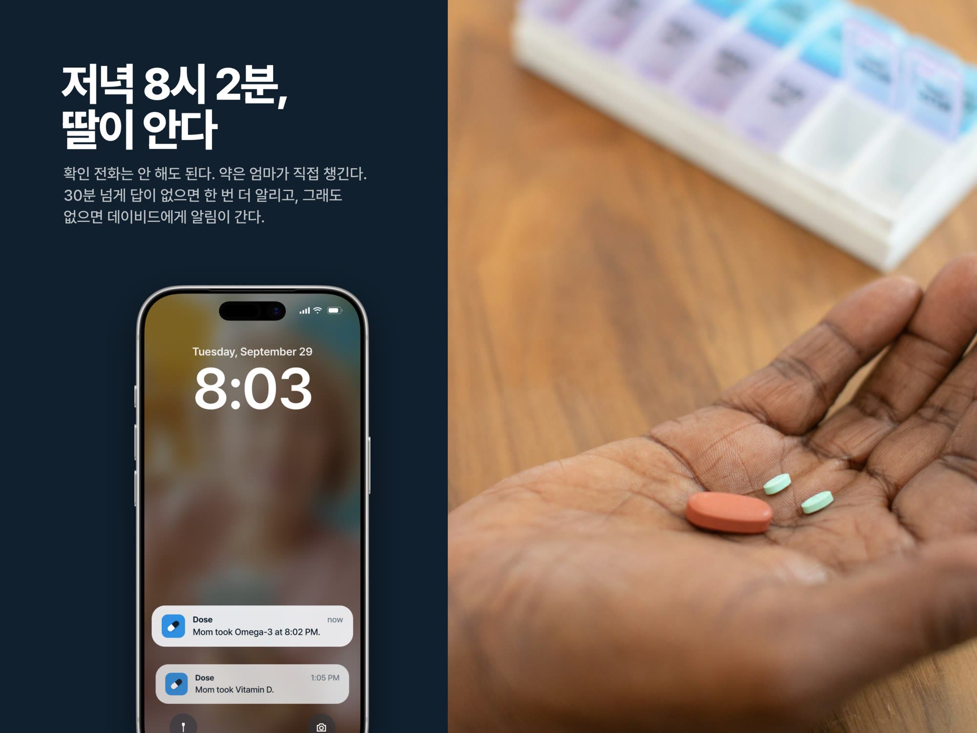 Dose · 복약 알림 앱 — 웹·앱 · 개발 프로젝트 · 킬슨 스튜디오