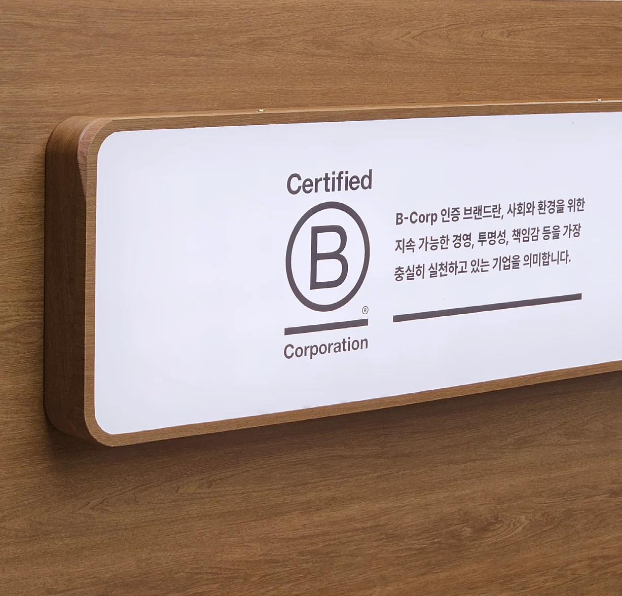 현대백화점 목동 카리우마 장기 팝업매장 연출 — 인테리어 프로젝트 · 킬슨 스튜디오